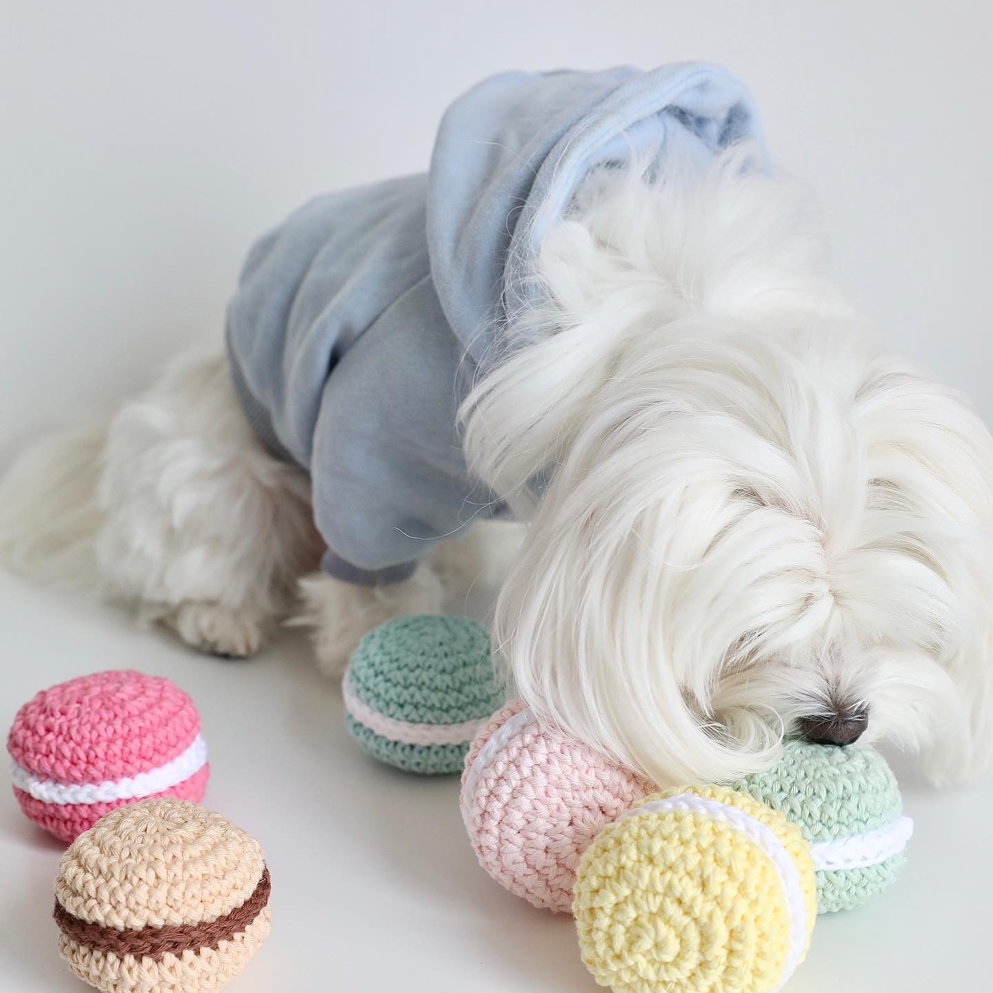 CROCHET MACARON DOG TOY