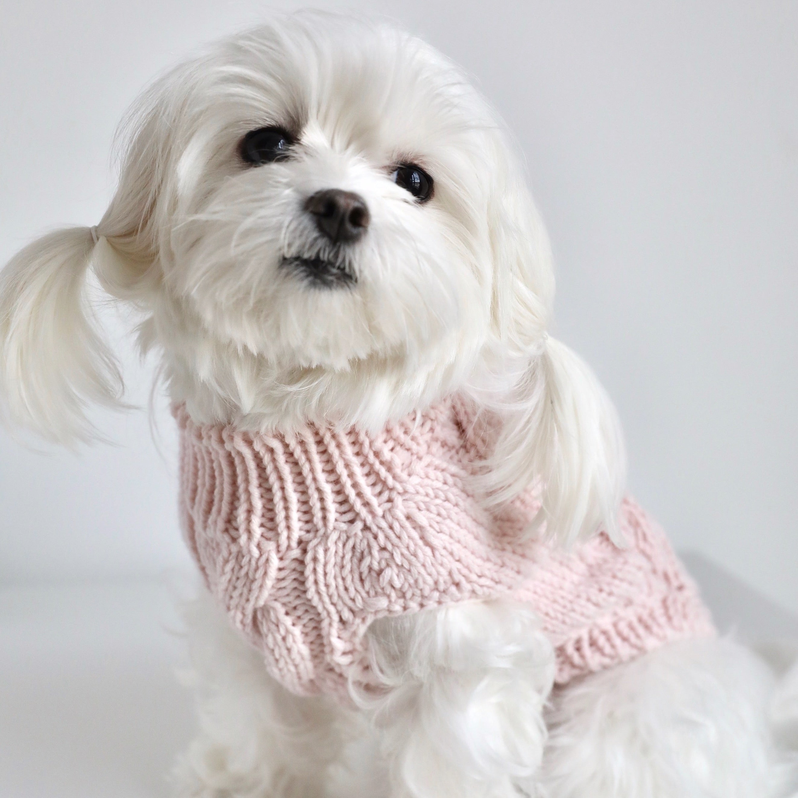 Classic Sleeveless Dog Jumper