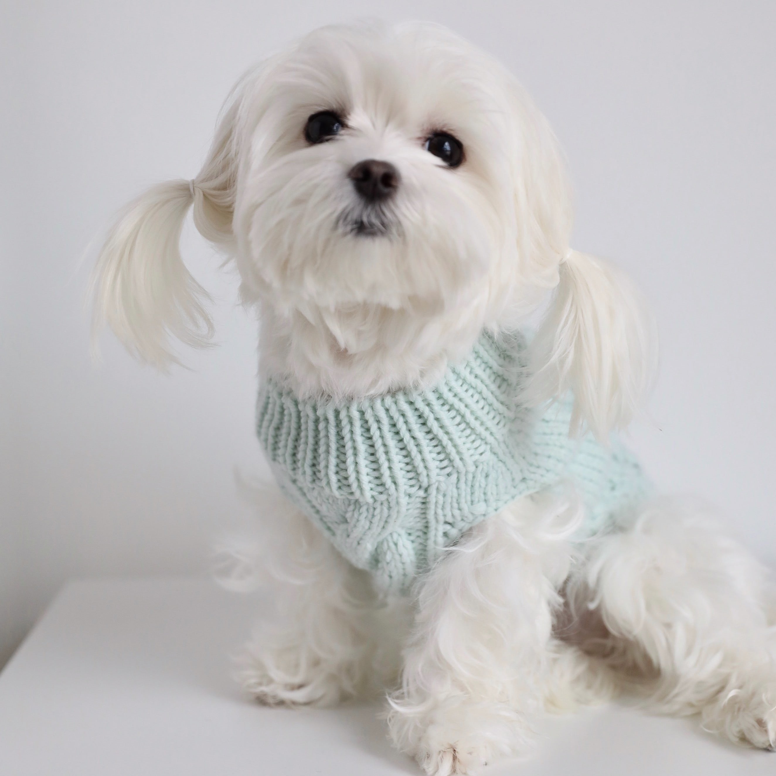 Classic Sleeveless Dog Jumper