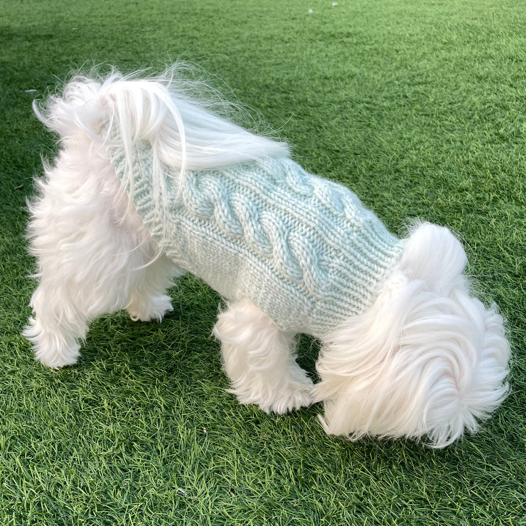 Classic Sleeveless Dog Jumper