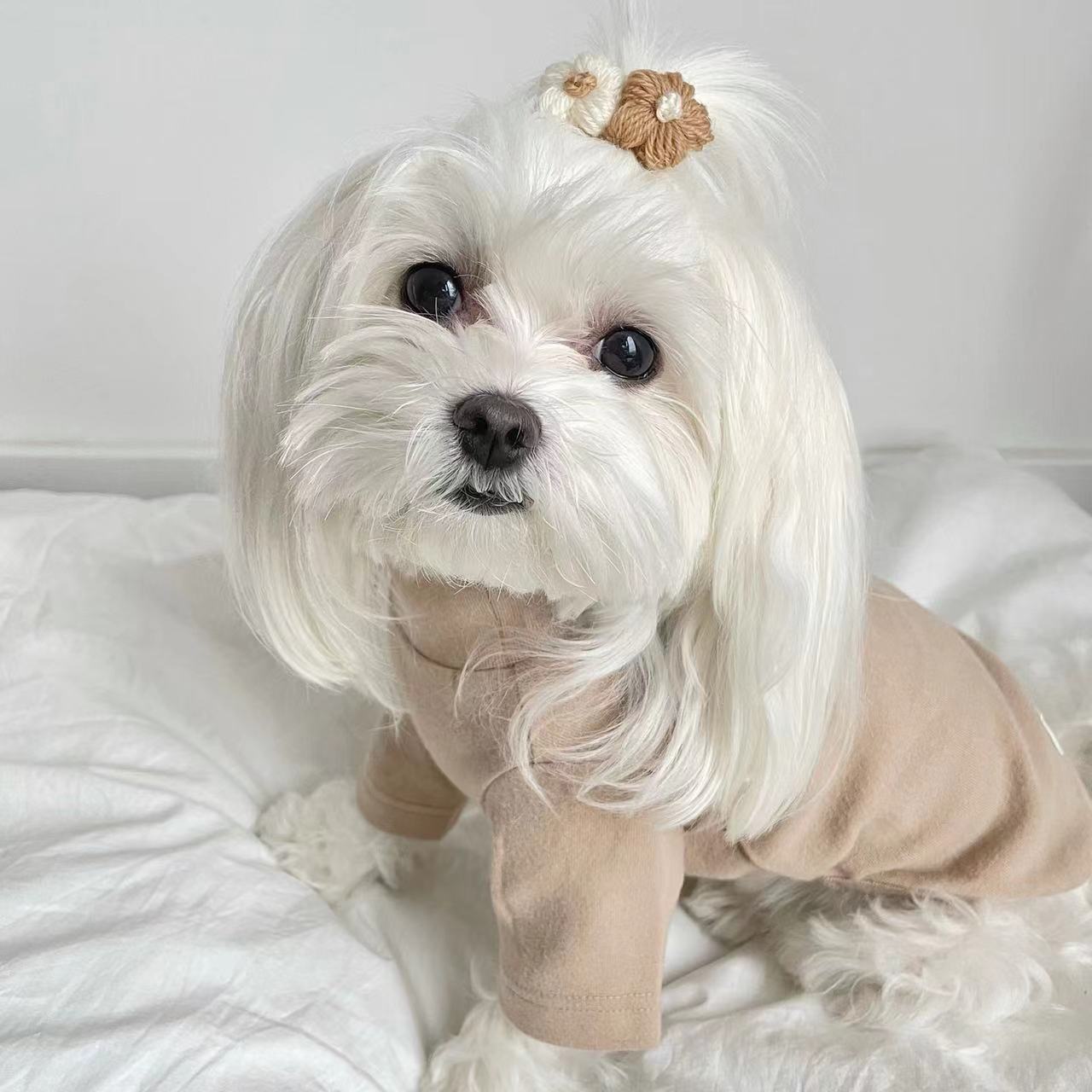 TWO FLOWERS HAIR CLIP