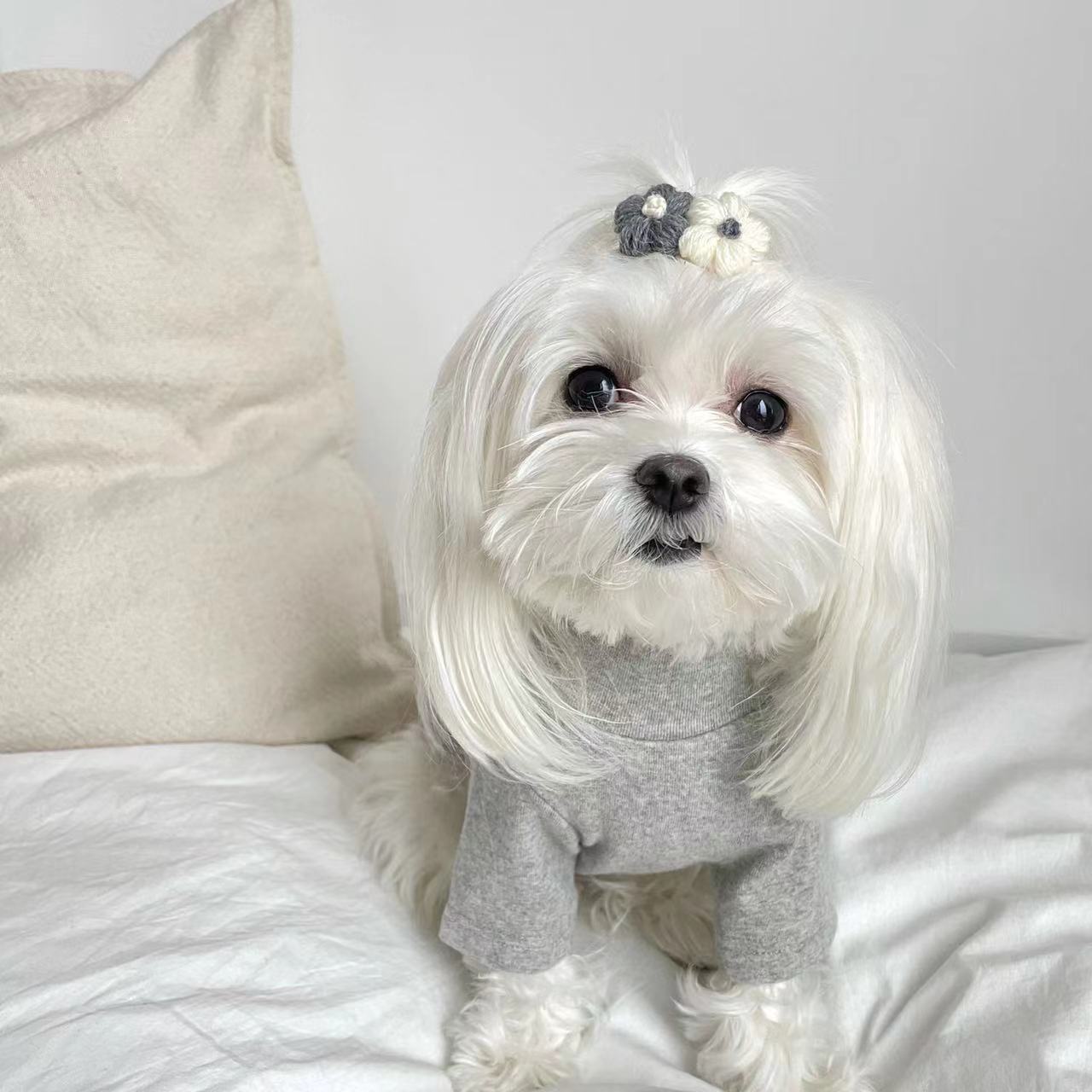 TWO FLOWERS HAIR CLIP