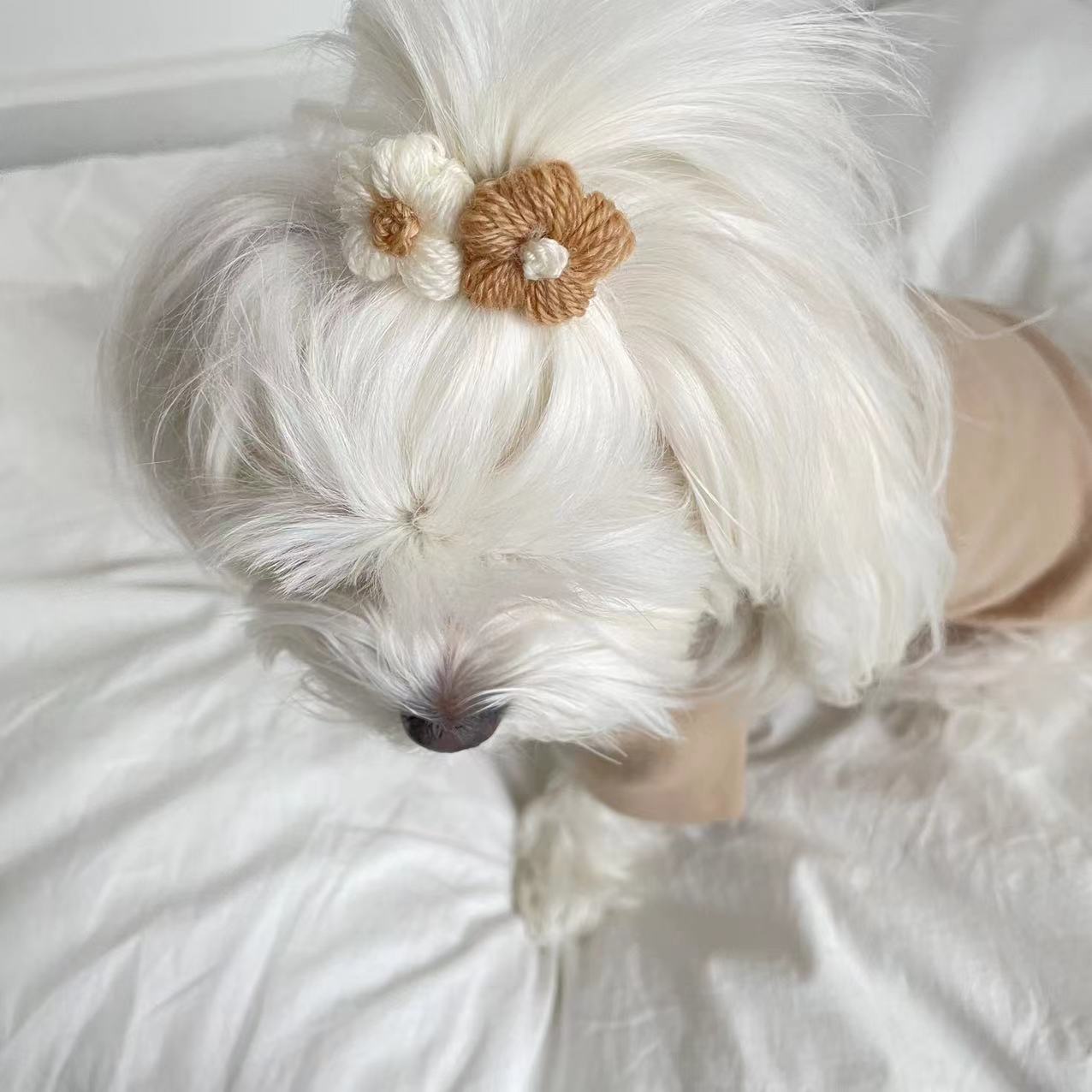 TWO FLOWERS HAIR CLIP