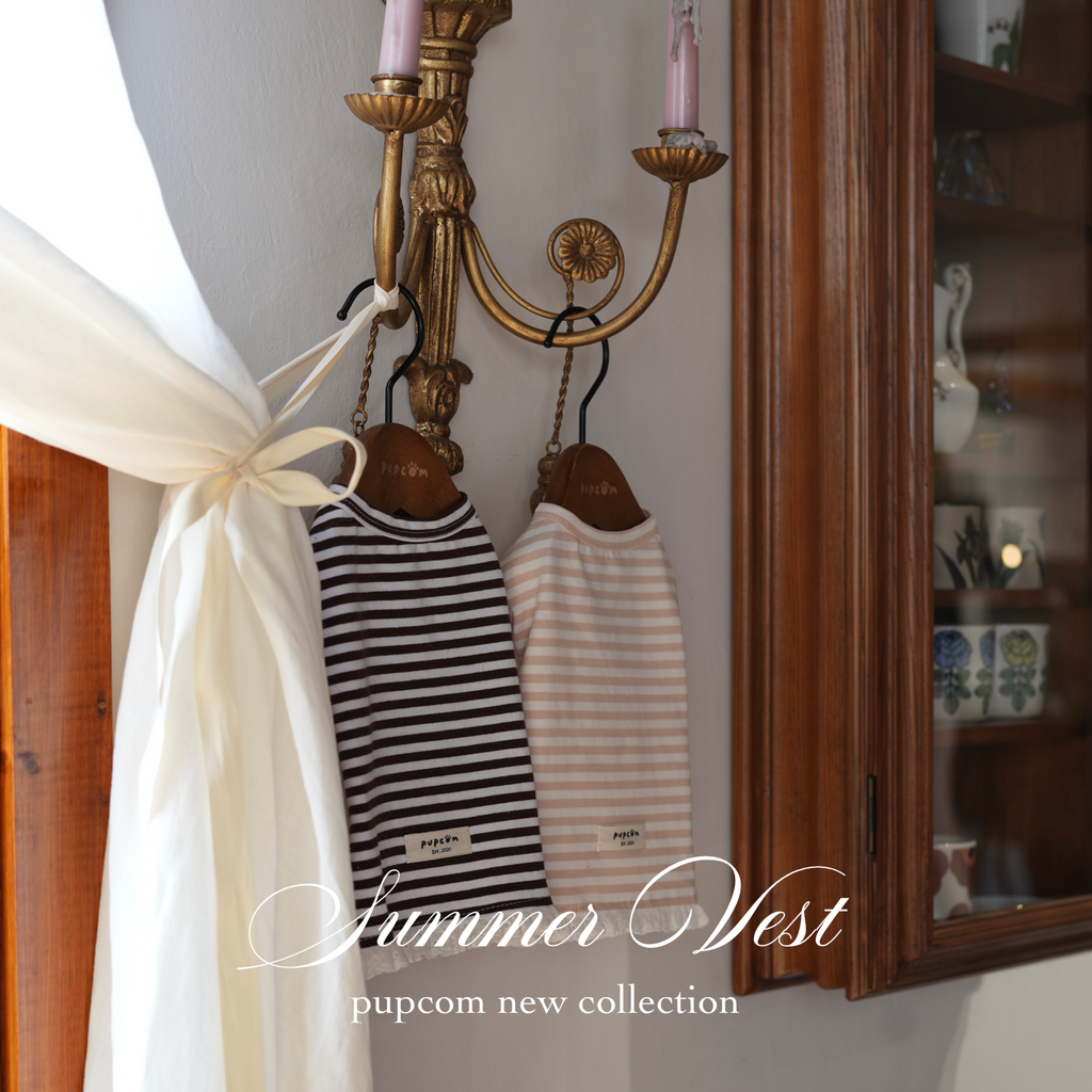 Summer Pet Vest with Lace