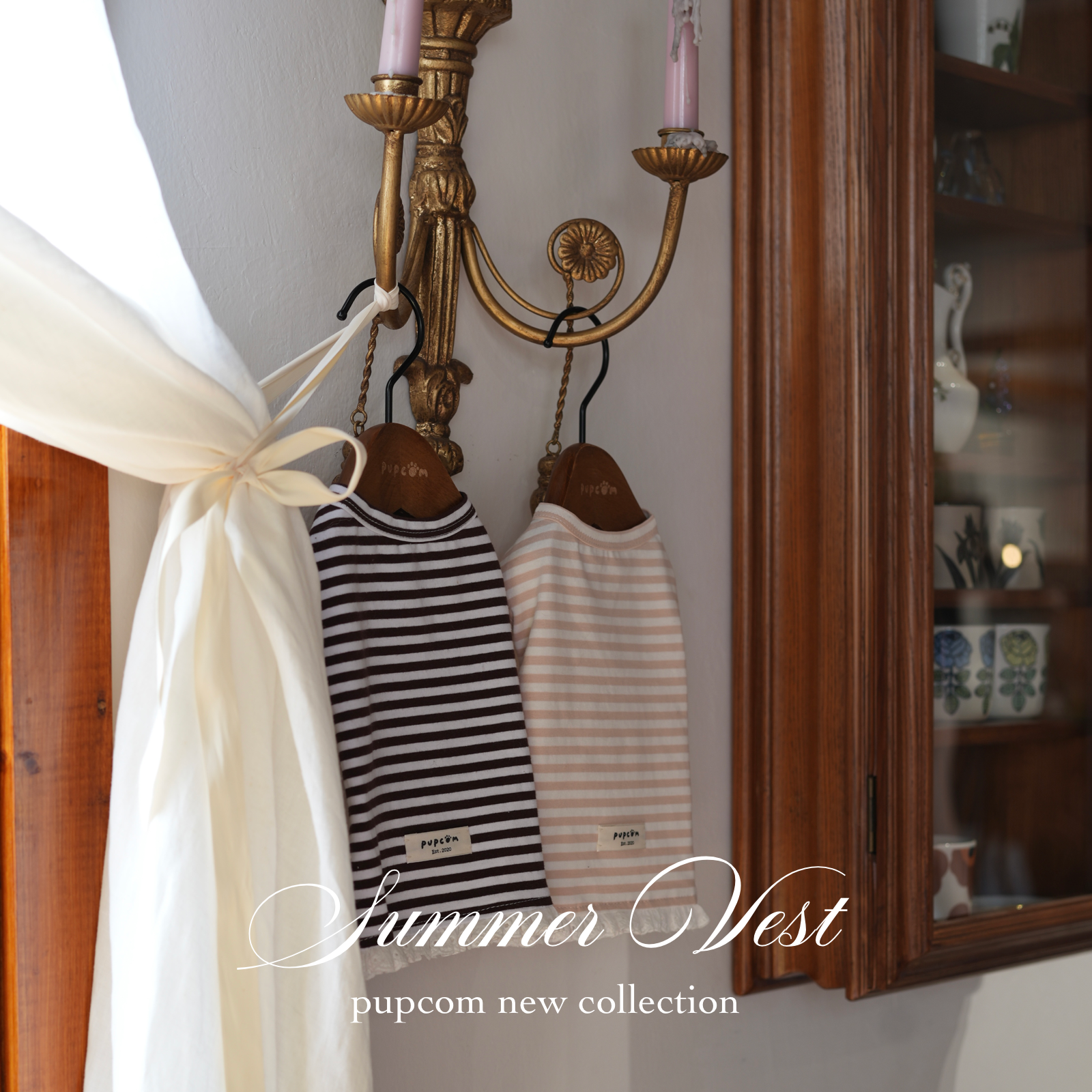 Summer Pet Vest with Lace