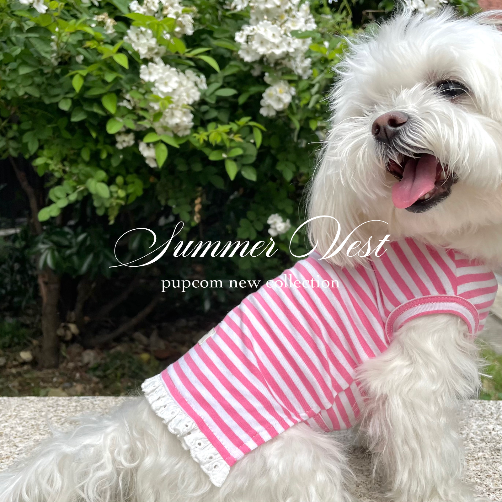 Summer Pet Vest with Lace