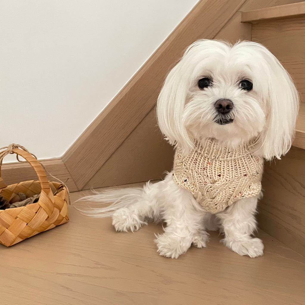 'Colourful Dot' Pet Knitwear