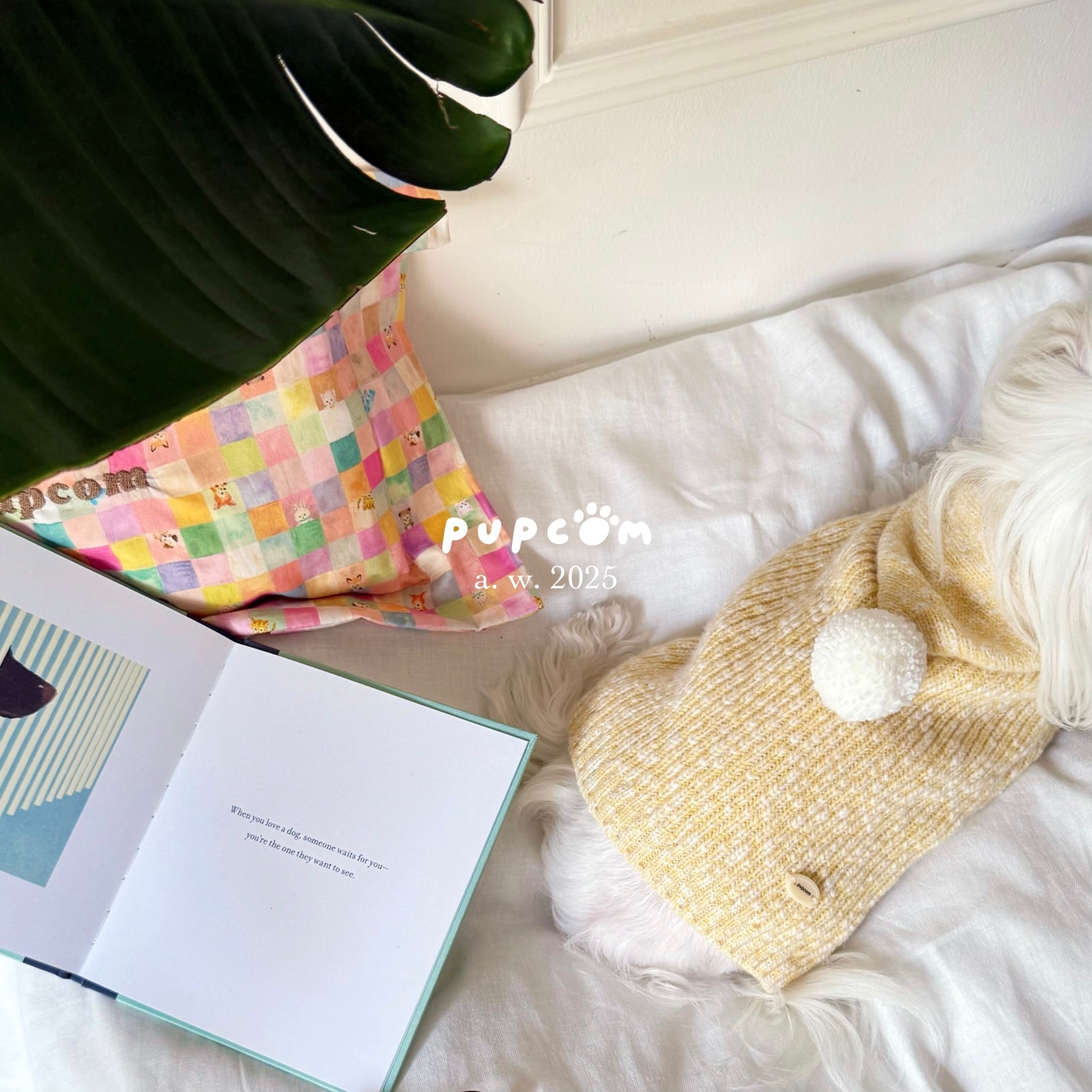 Pupcom Poncho Merino Wool Pet Hoodie