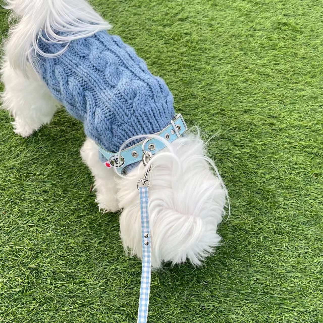 Classic Sleeveless Dog Jumper